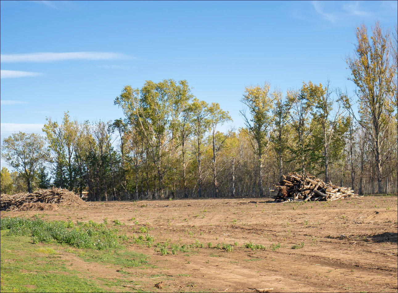 land clearing